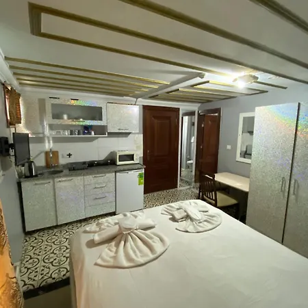 Apartament Sophia Stambuł
