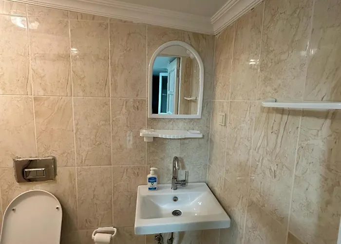 Sophia Istanbulská provincie